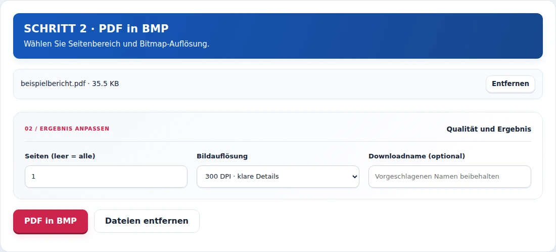 PDF in BMP, Schritt 2: Wählen Sie Seitenbereich und Bitmap-Auflösung.