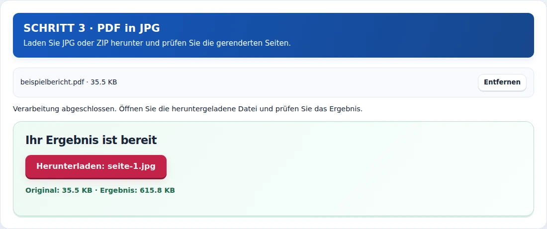 PDF in JPG, Schritt 3: Laden Sie JPG oder ZIP herunter und prüfen Sie die gerenderten Seiten.