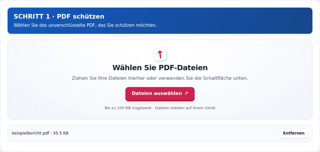 PDF schützen, Schritt 1: Wählen Sie das unverschlüsselte PDF, das Sie schützen möchten.