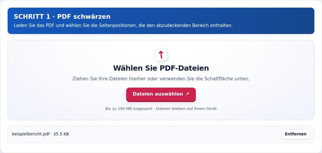 PDF schwärzen, Schritt 1: Laden Sie das PDF und wählen Sie die Seitenpositionen, die den abzudeckenden Bereich enthalten.