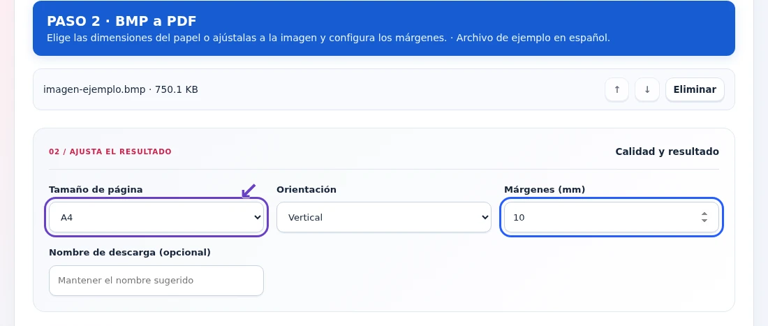 BMP a PDF, paso 2: Elige las dimensiones del papel o ajústalas a la imagen y configura los márgenes.