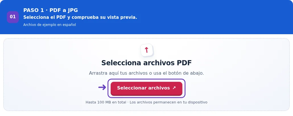 PDF a JPG, paso 1: Selecciona el PDF y comprueba su vista previa.