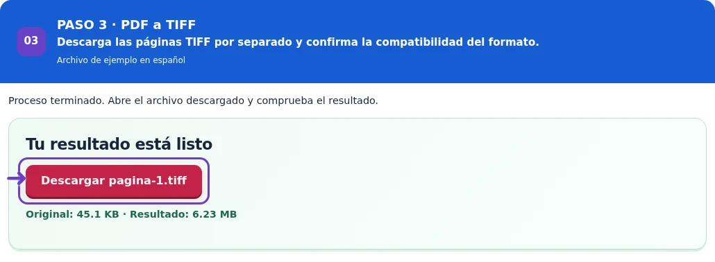 PDF a TIFF, paso 3: Descarga las páginas TIFF por separado y confirma la compatibilidad del formato.