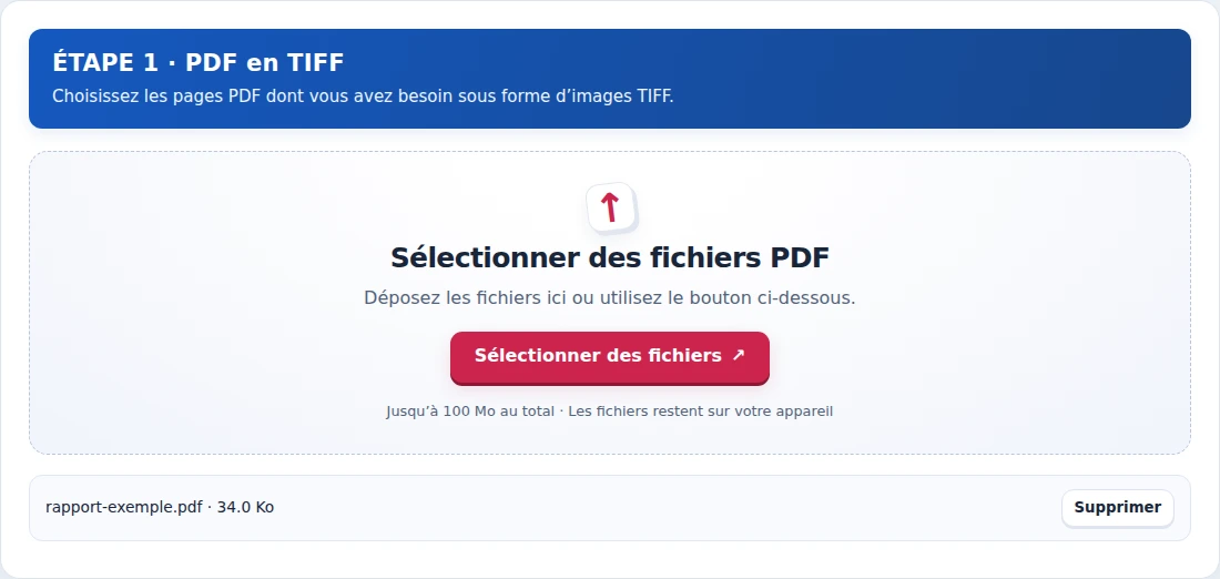 PDF en TIFF, étape 1 : Choisissez les pages PDF dont vous avez besoin sous forme d’images TIFF.