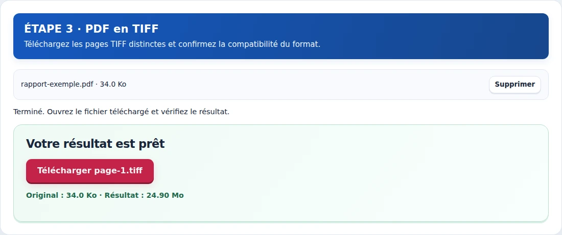 PDF en TIFF, étape 3 : Téléchargez les pages TIFF distinctes et confirmez la compatibilité du format.