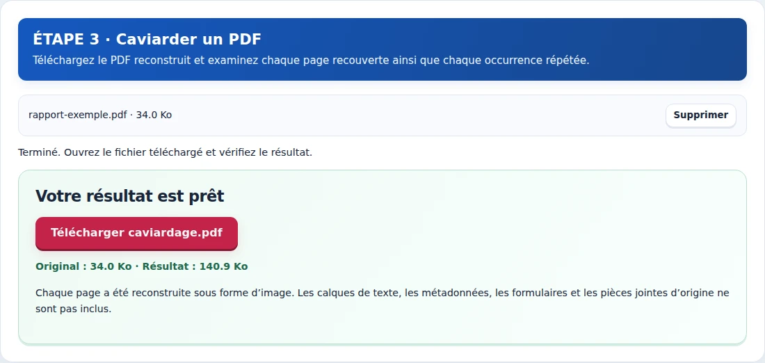 Caviarder un PDF, étape 3 : Téléchargez le PDF reconstruit et examinez chaque page recouverte ainsi que chaque occurrence répétée.