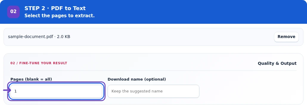 PDF to Text, step 2: Choose the pages and optional download name.