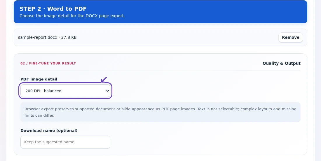 Word to PDF, step 2: Select PDF image detail and review the notice that browser output contains page images.